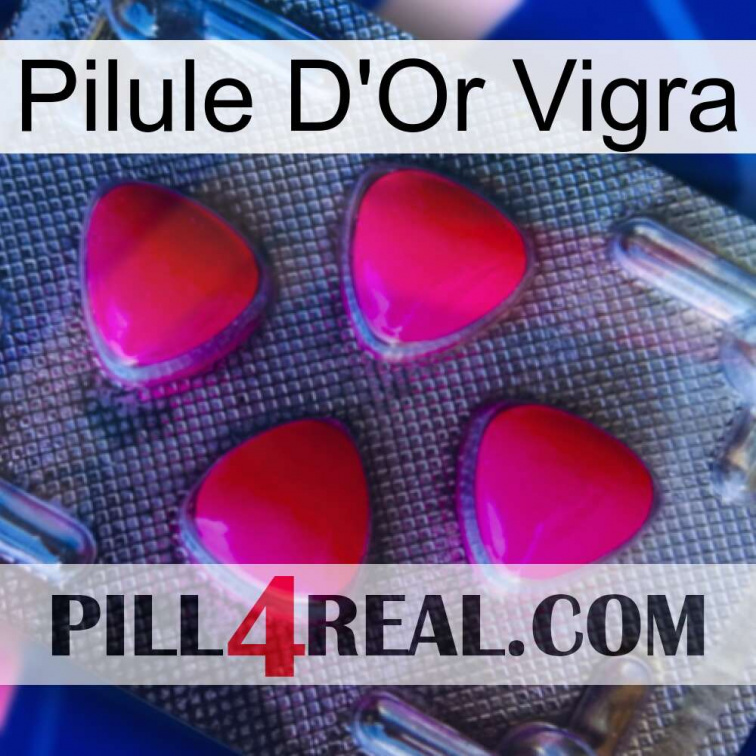 Vigra Gold Pill 13